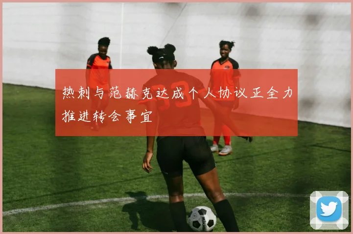 热刺与范赫克达成个人协议正全力推进转会事宜